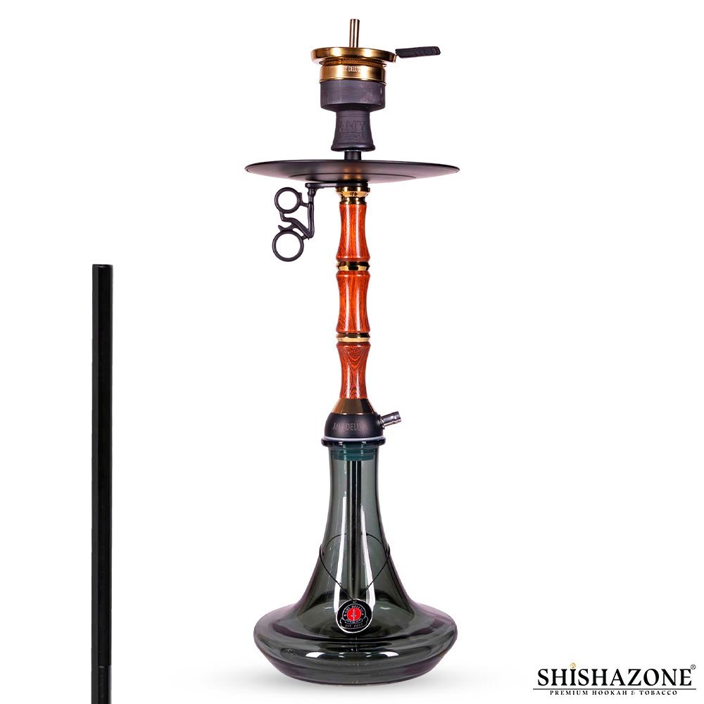AMY SHISHA 113.01