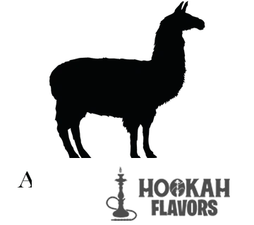 alpaca